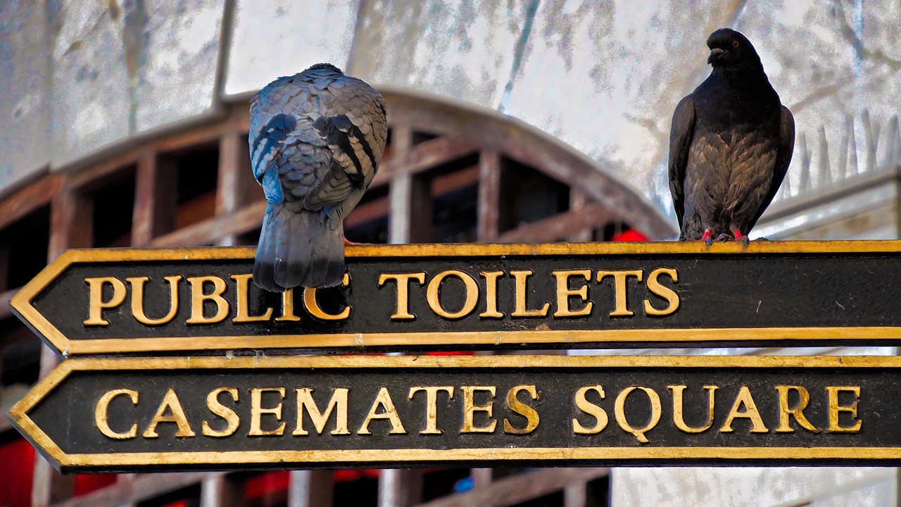 最新網(wǎng)頁游戲大盤點，探索當下最熱門的游戲世界