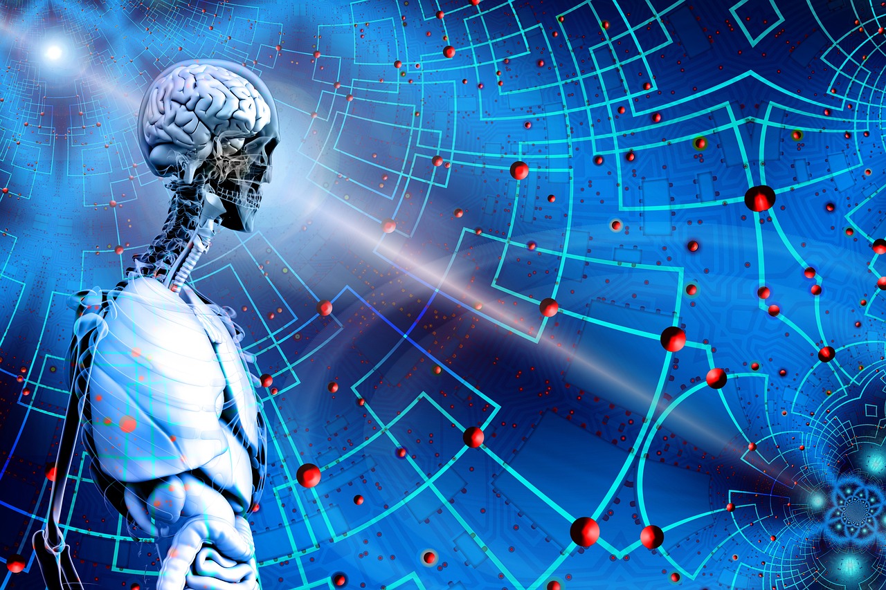 電解板價(jià)格行情深度分析與預(yù)測(cè)