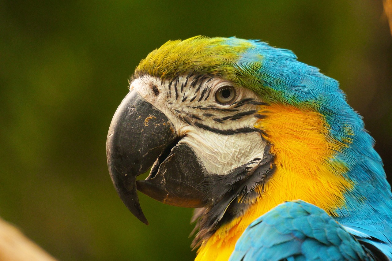 夏普電視50寸價(jià)格解析，了解市場(chǎng)價(jià)格，購(gòu)買更合理！