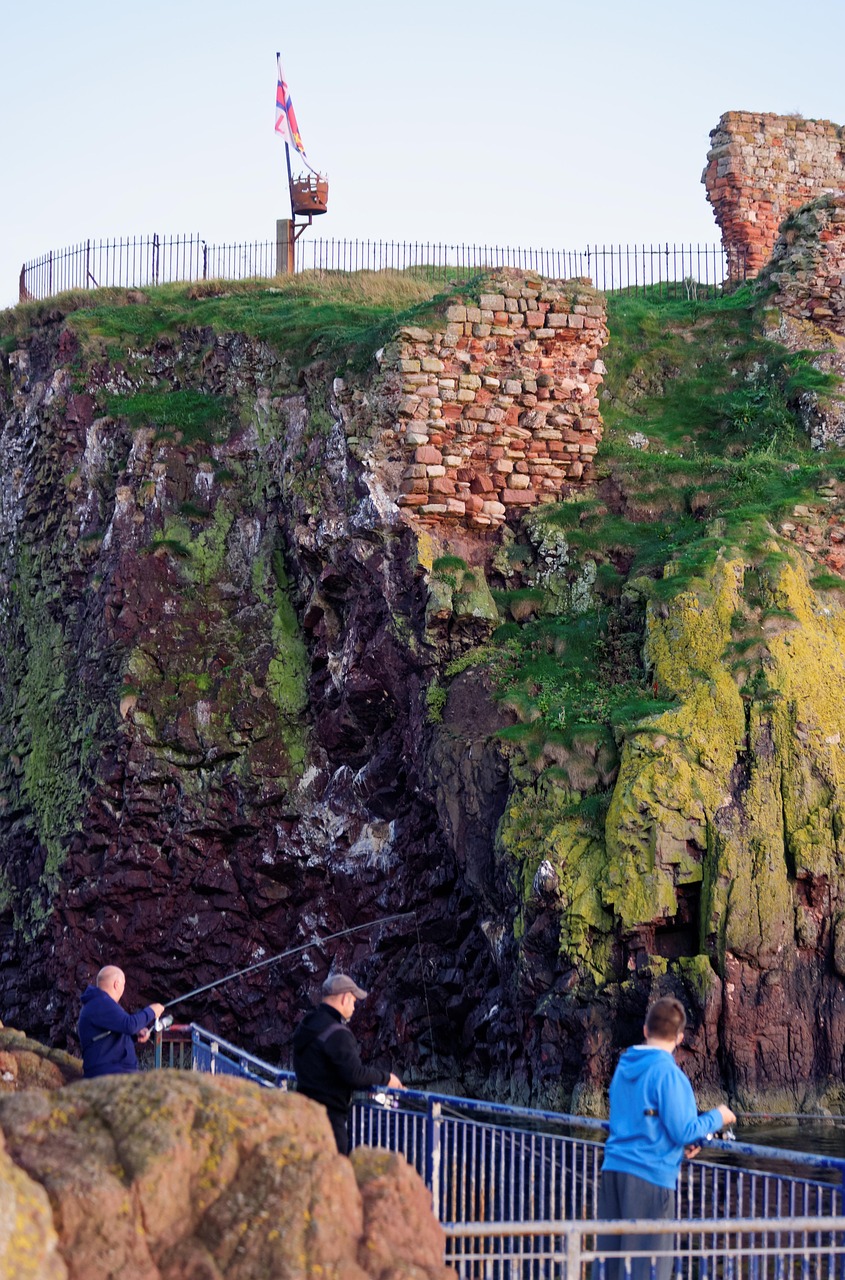 珠海港邁向國際樞紐港步伐加速的最新動(dòng)態(tài)