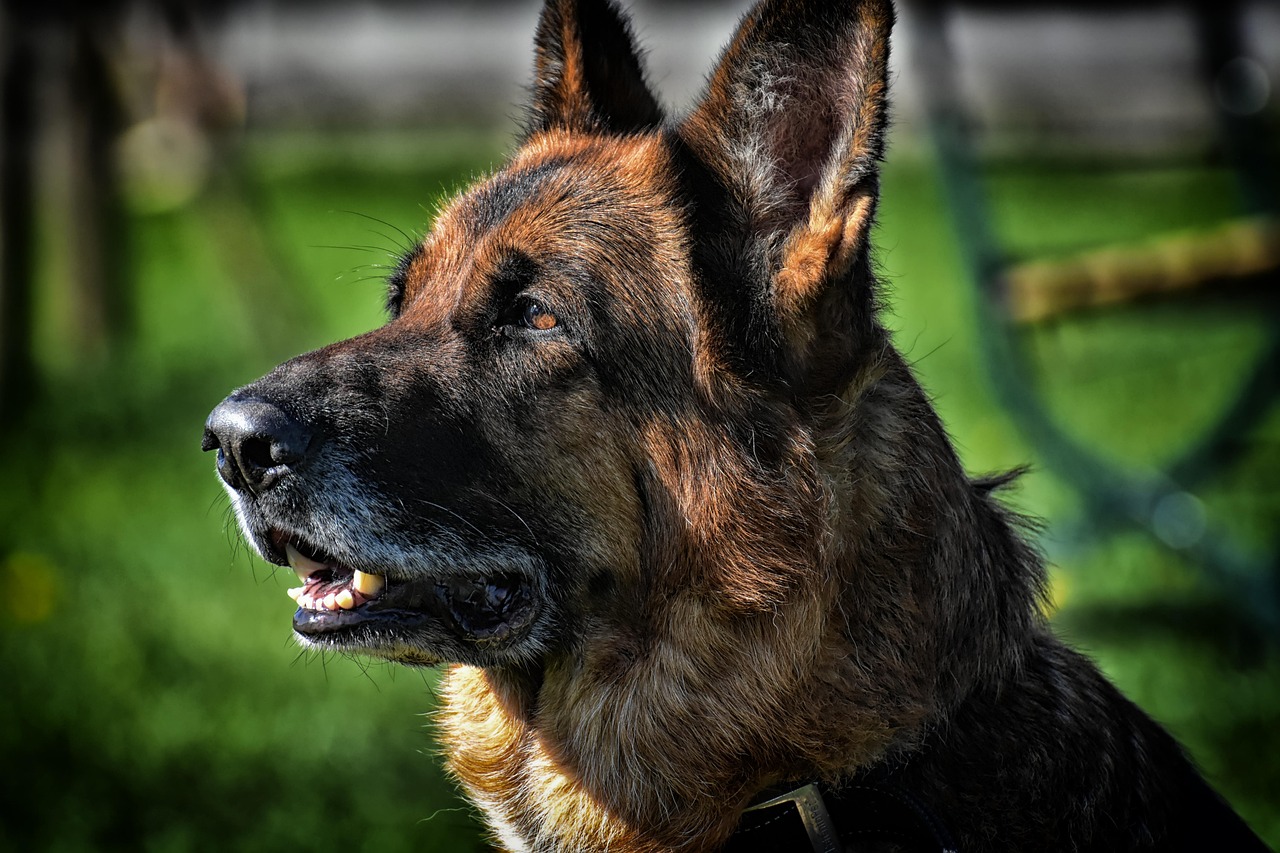 純牛奶最單純 第31頁(yè)