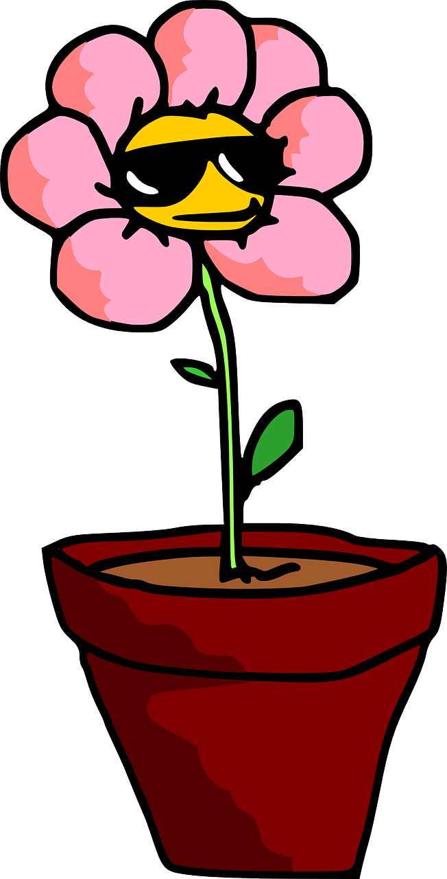 動(dòng)漫眼鏡頭像，捕捉二次元世界的神韻