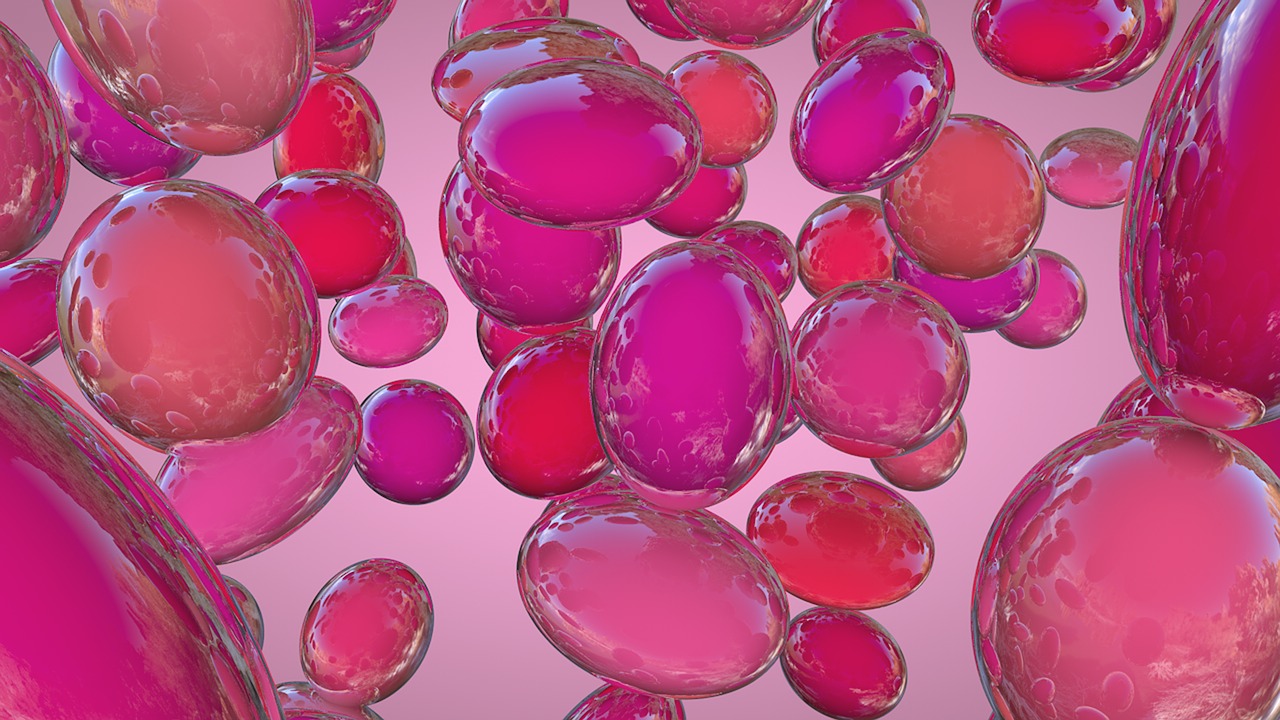 國(guó)宏馬少華最新動(dòng)態(tài)揭秘，卓越領(lǐng)導(dǎo)者的前沿領(lǐng)域探索之旅