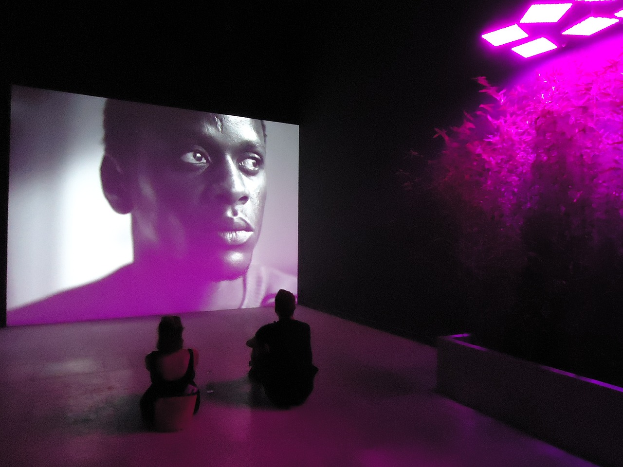 永久居留電影，探索影視藝術的無限潛力