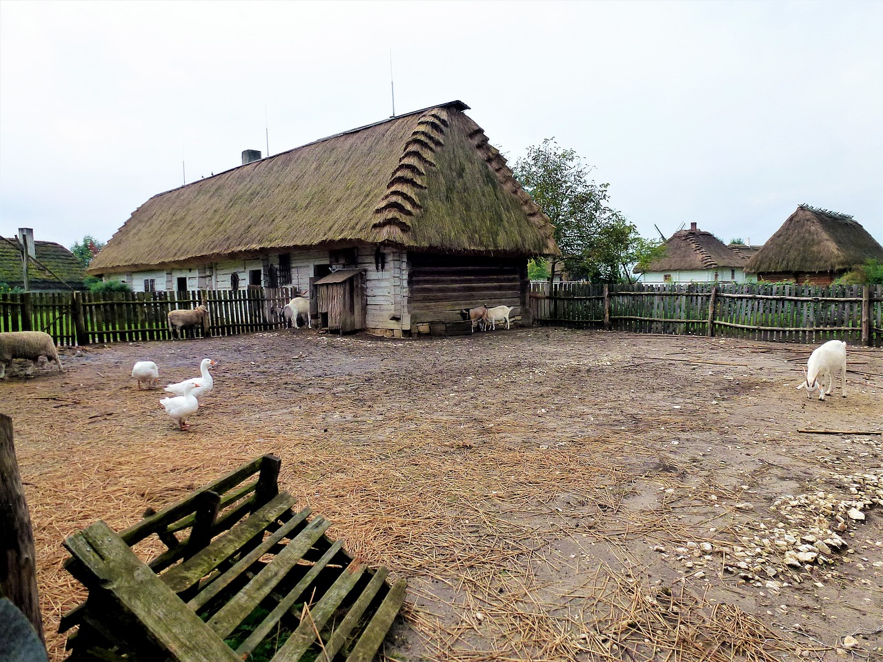 海棠正酣 第27頁