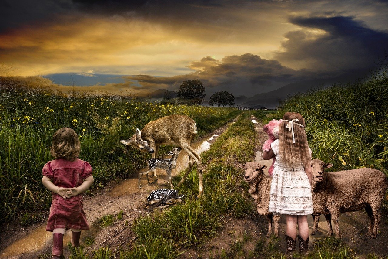 韓國(guó)電影的幻想世界之旅