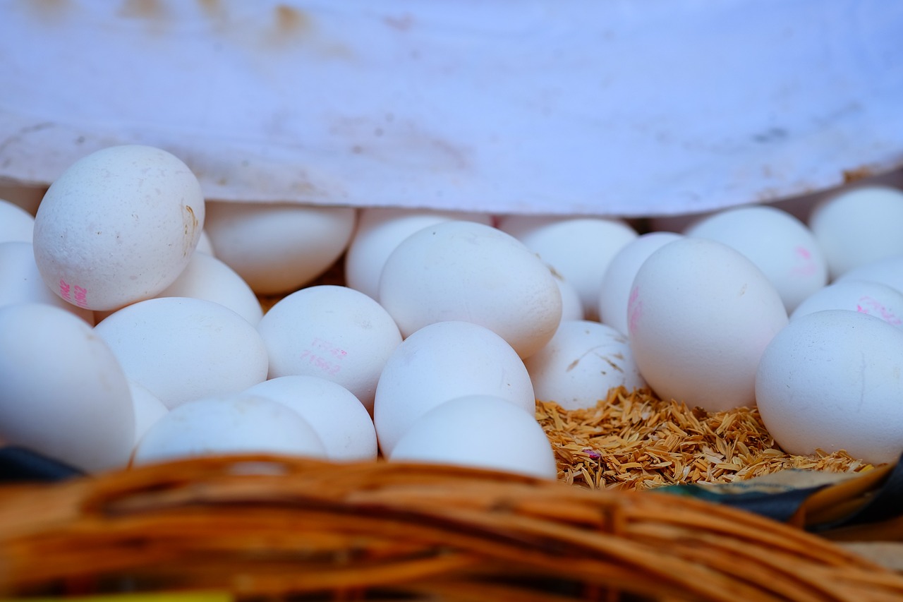 鐠釹最新價格動態(tài)分析與趨勢預測