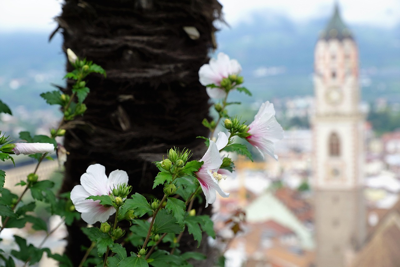 NBA最新動(dòng)態(tài)揭秘，新季展望與熱點(diǎn)話題深度解析