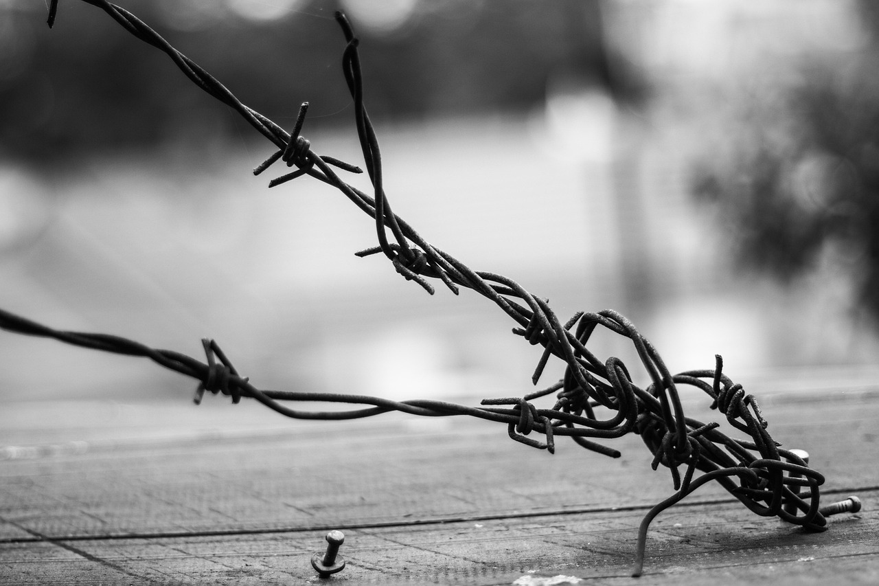 導(dǎo)演蕭峰最新力作，探索電影藝術(shù)的無限邊界