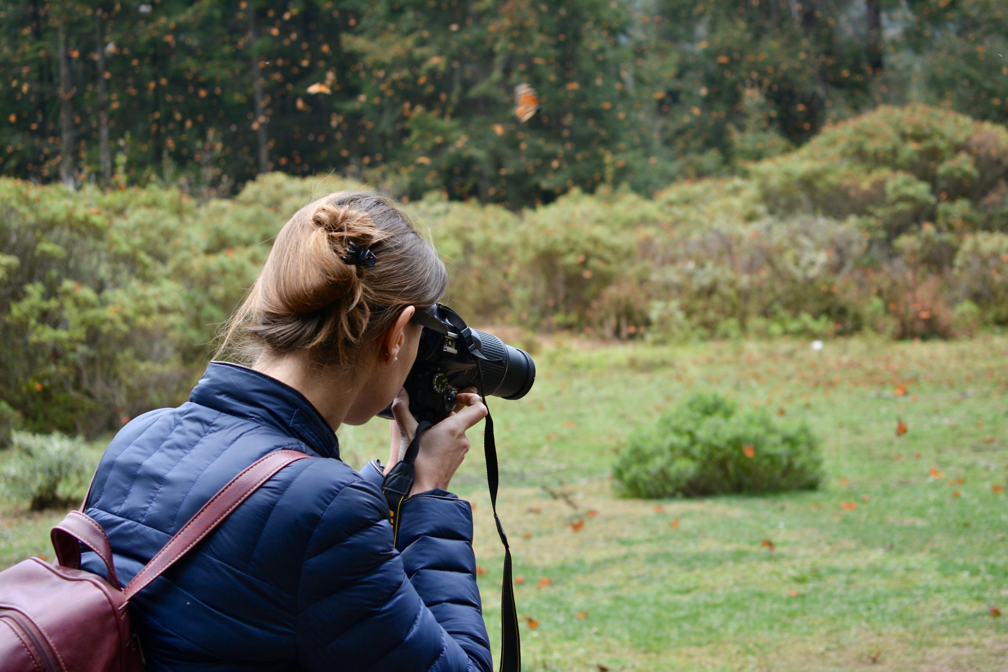 牛郎織女電影，穿越時空的情感傳奇之旅
