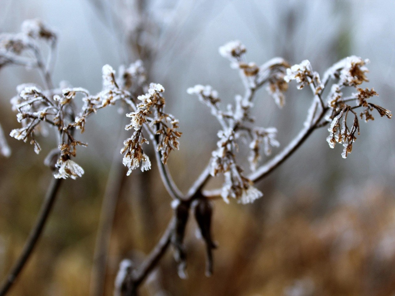 大雪冬至電影，溫情與深意的冬日篇章