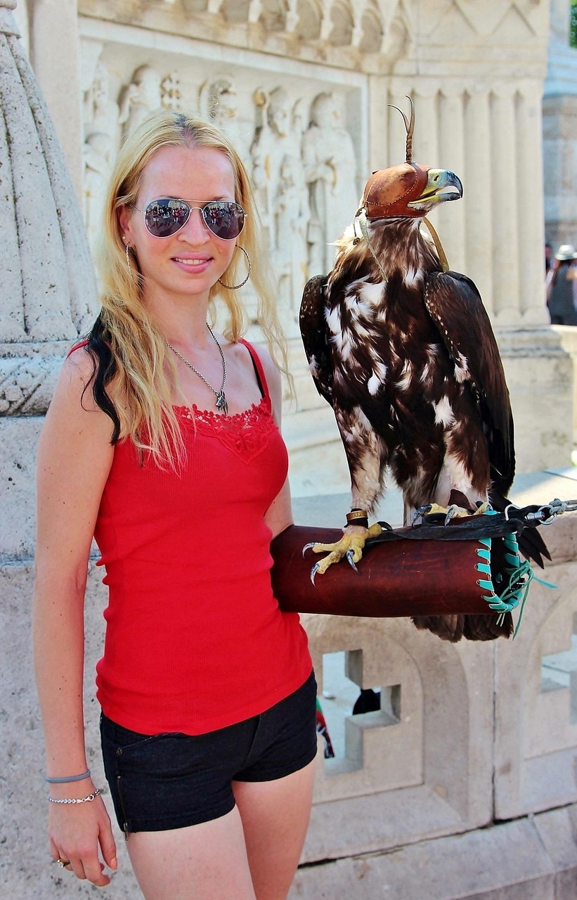 最新天臺臺風資訊全面解讀，臺風動態(tài)與應對策略