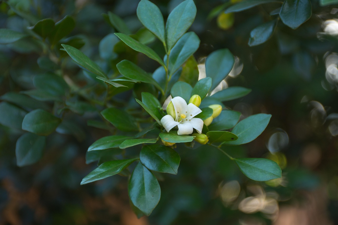 全球地震活動(dòng)最新動(dòng)態(tài)，今日地震新聞更新與應(yīng)對(duì)策略