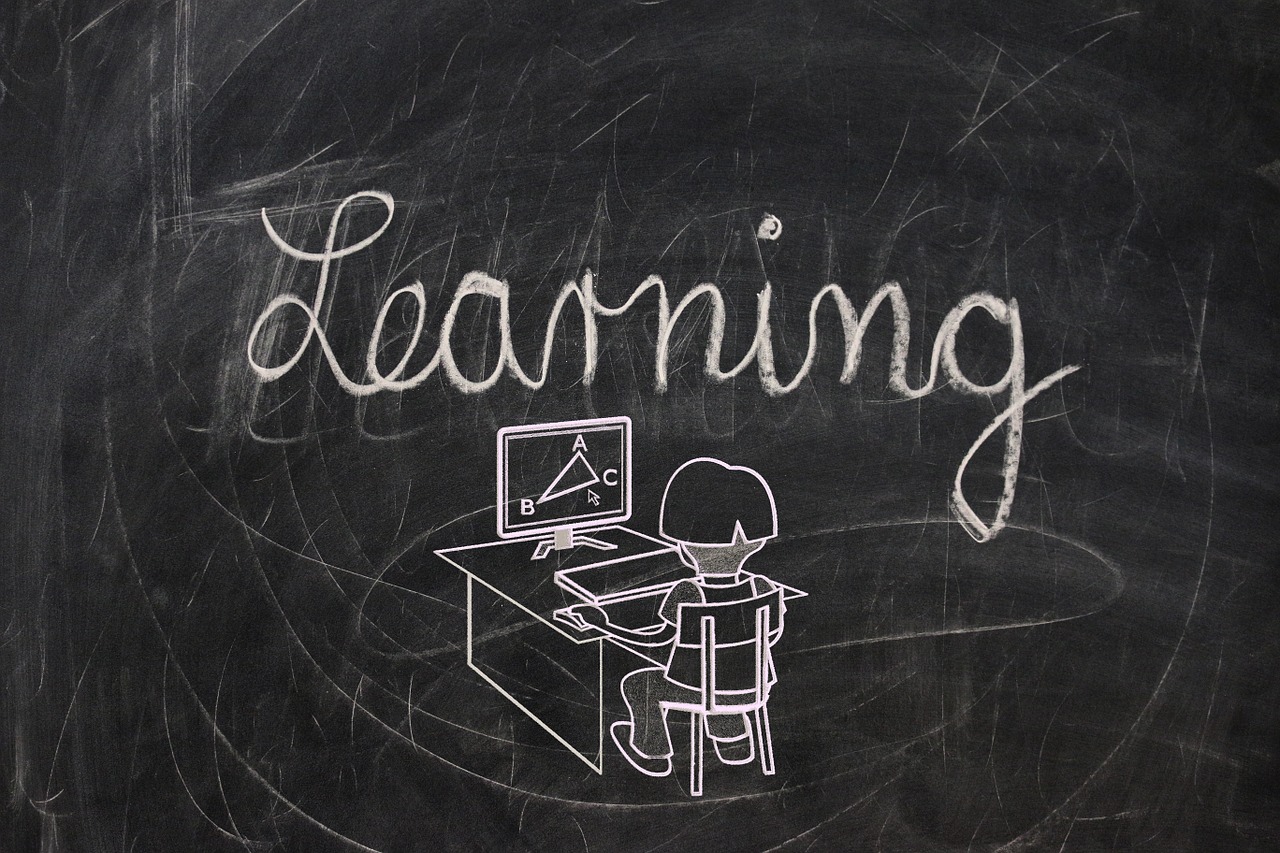 知識(shí)與智慧的較量，答案在風(fēng)中飄蕩比賽