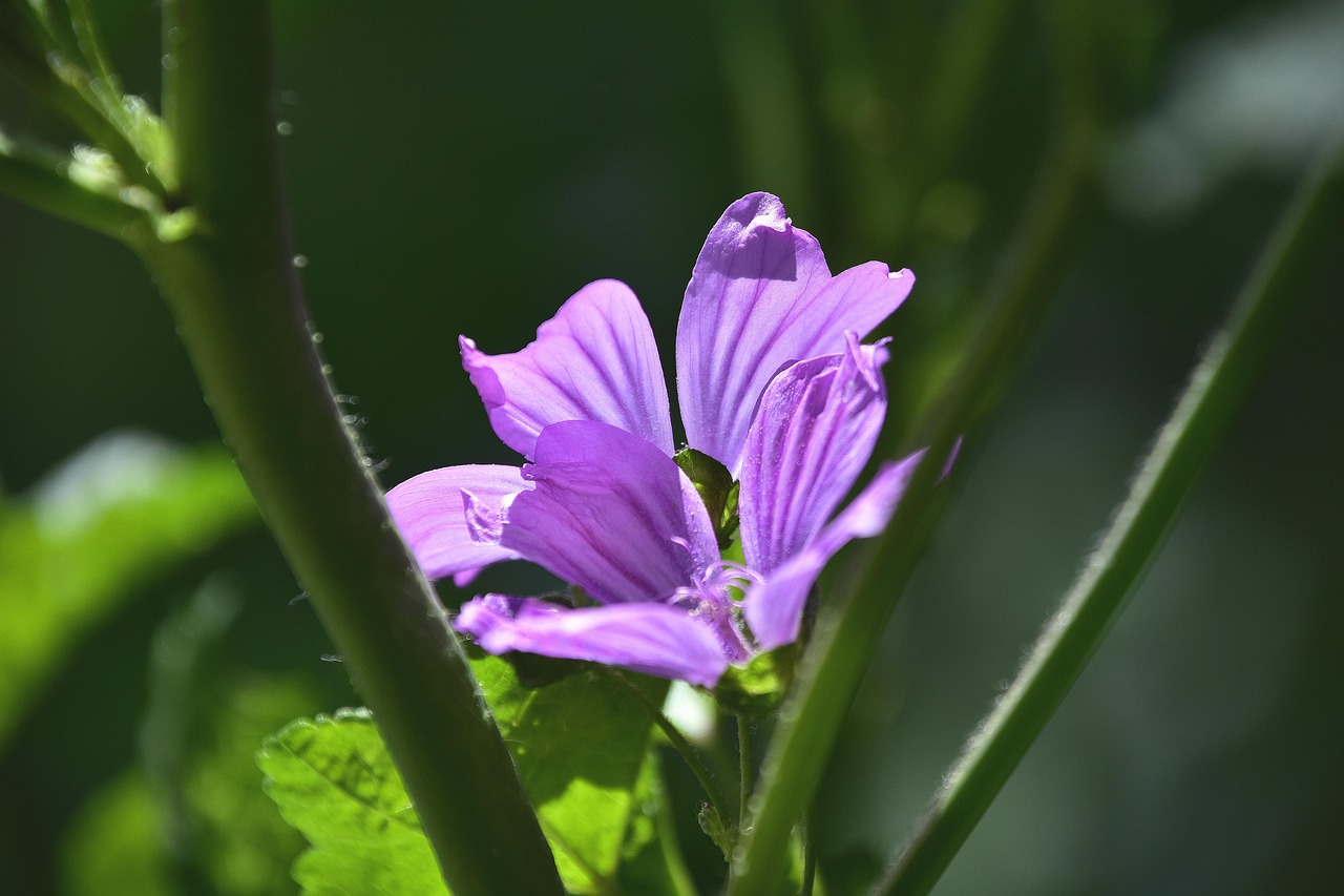 港毒動(dòng)態(tài)揭秘，捍衛(wèi)正義，揭示真相之戰(zhàn)