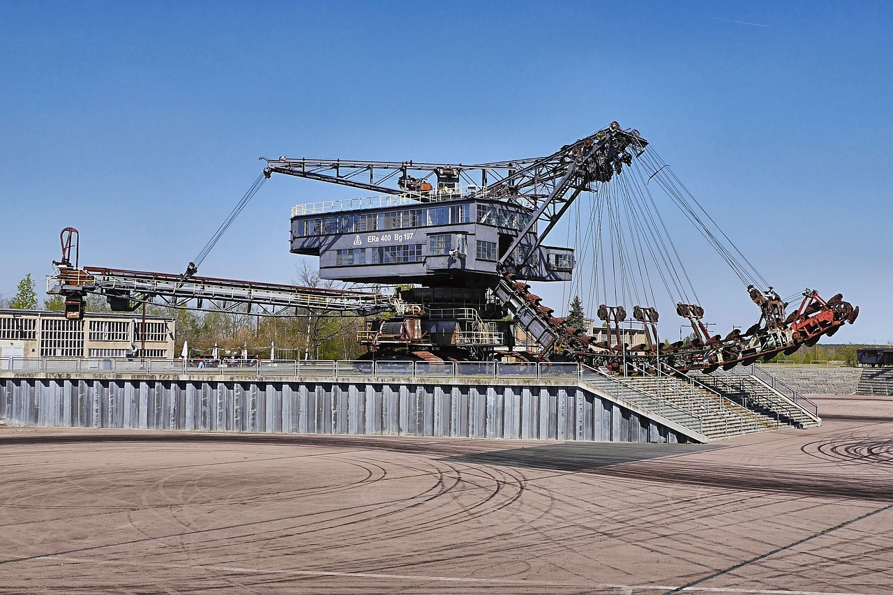 貓九醬最新資訊，探索貓的奇妙世界，分享最新動(dòng)態(tài)