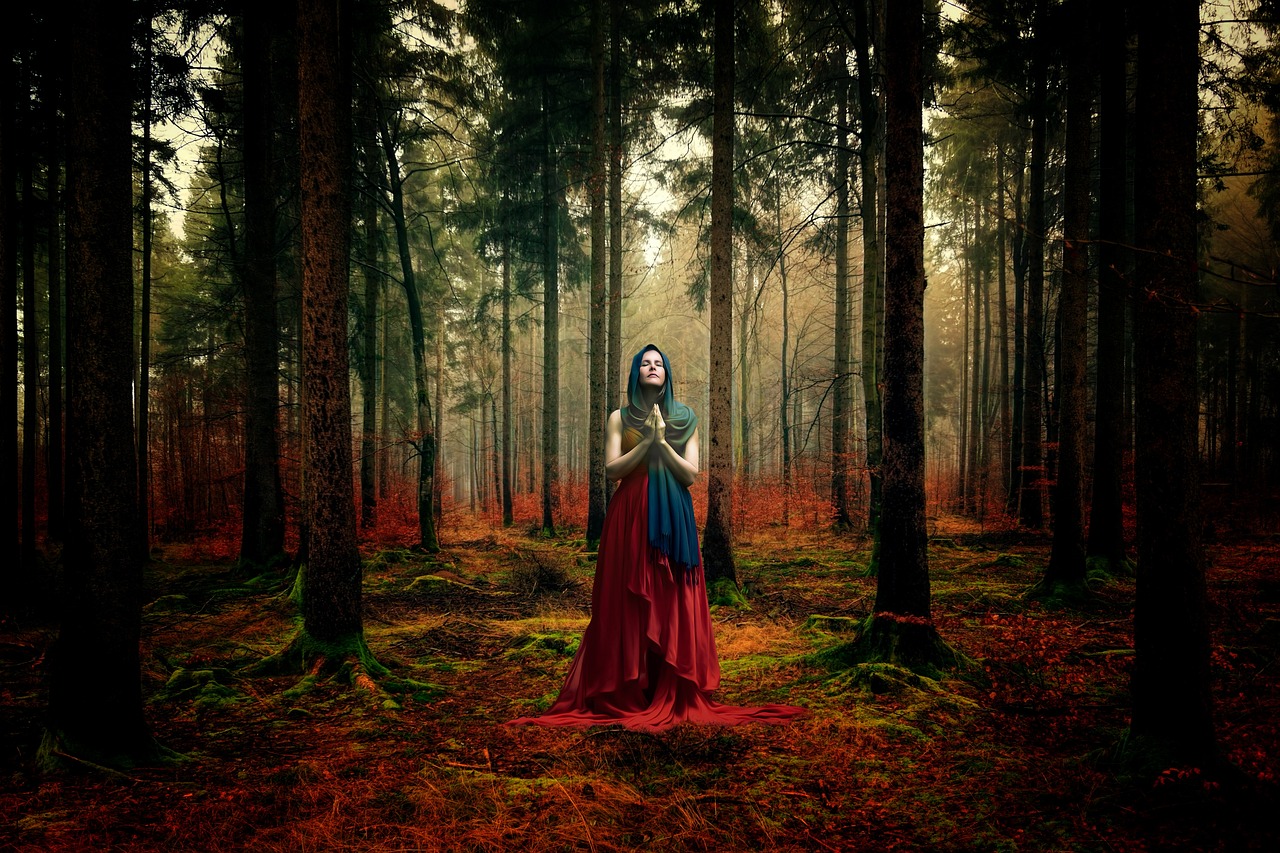 秋日新梗揭曉，探索季節(jié)奧秘與驚喜的旅程