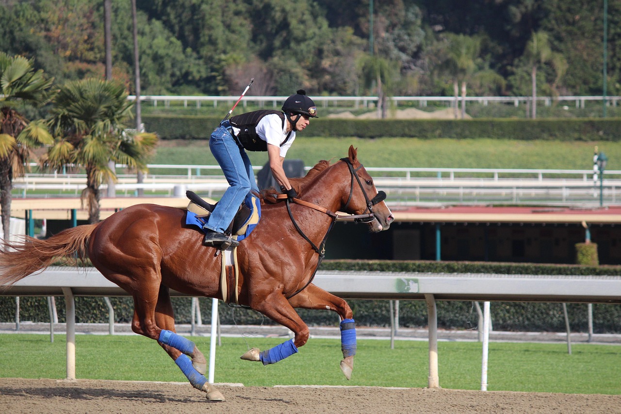 計(jì)縣賽事盛況空前，吸引無(wú)數(shù)目光與關(guān)注
