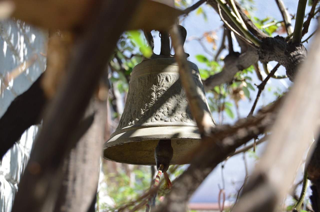 蓬溪縣二手房市場最新動態(tài)及分析摘要