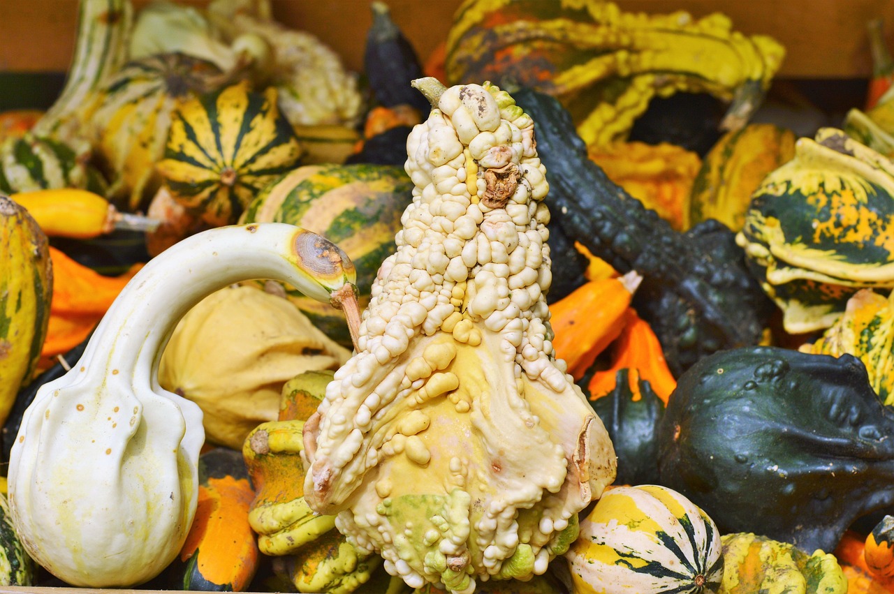 端午節(jié)水果市場探秘，節(jié)日果市季節(jié)風情與上市水果一覽