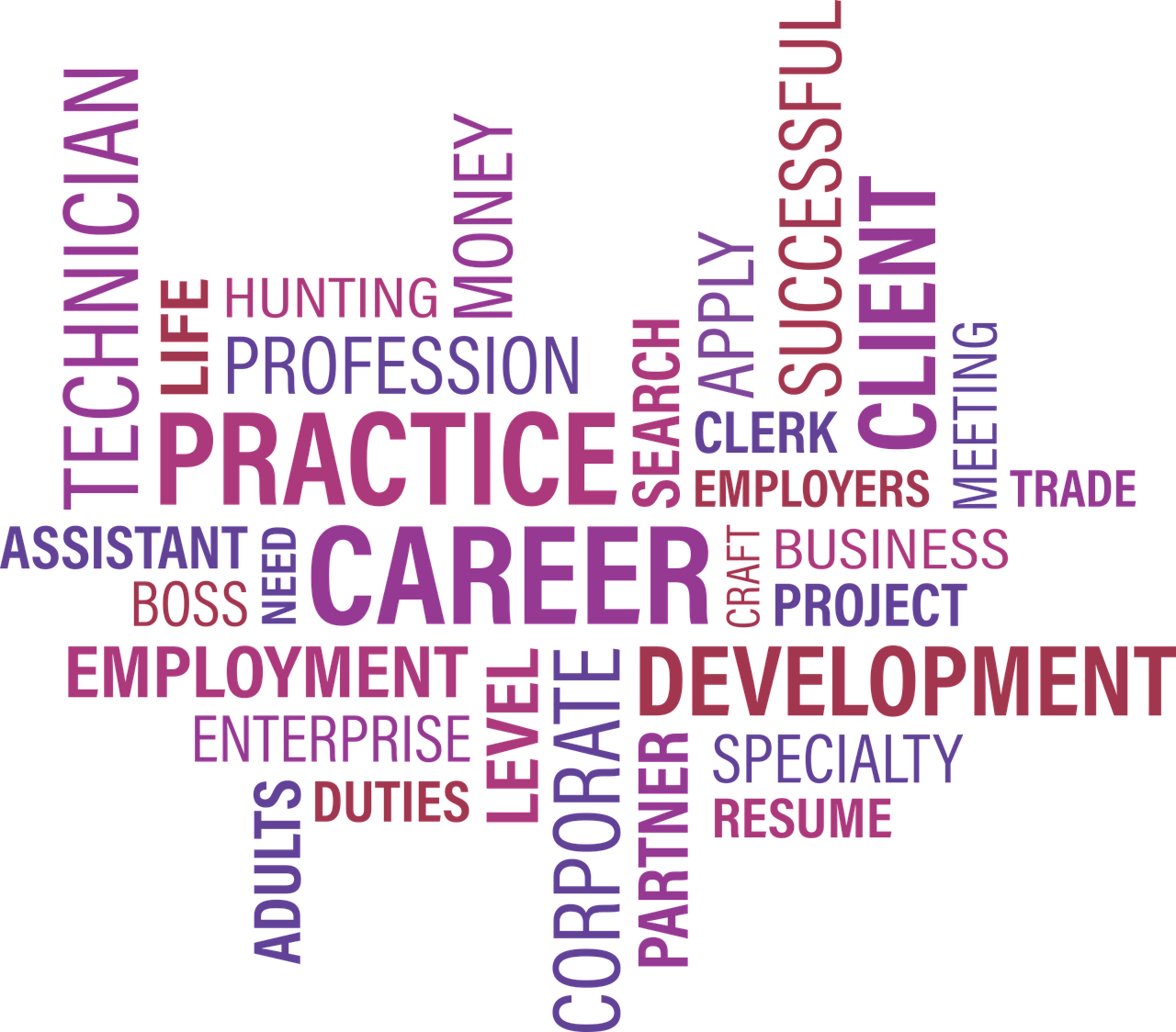 泉州人才招聘信息，探尋職業(yè)無限可能的機遇