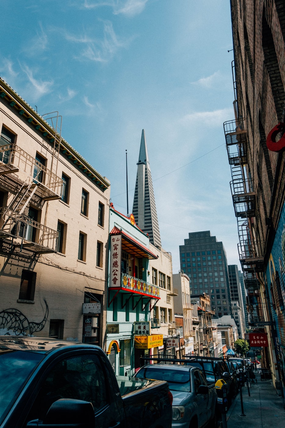 倪虹潔最新動(dòng)態(tài)揭秘，多元領(lǐng)域探索，展現(xiàn)無(wú)限魅力與可能