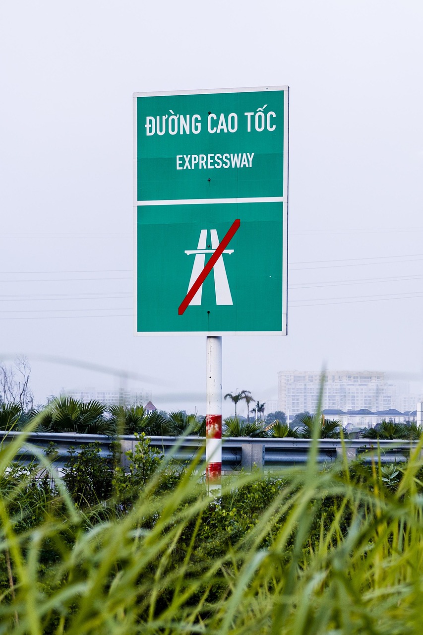 揭秘都市風(fēng)云變幻，都市狂梟最新動態(tài)速遞