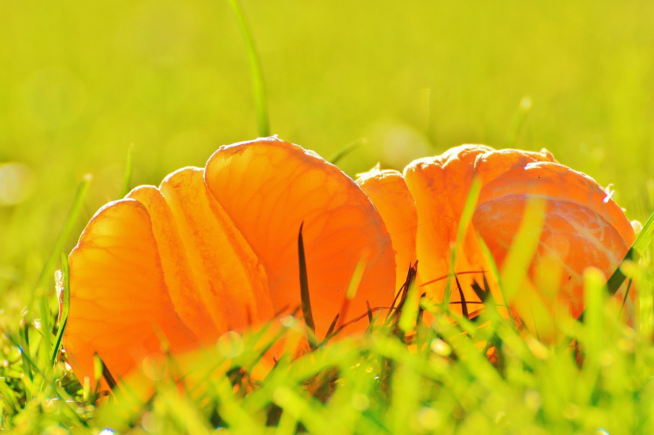 靈丘交警資訊深度報道，探索交警工作的前沿與動態(tài)