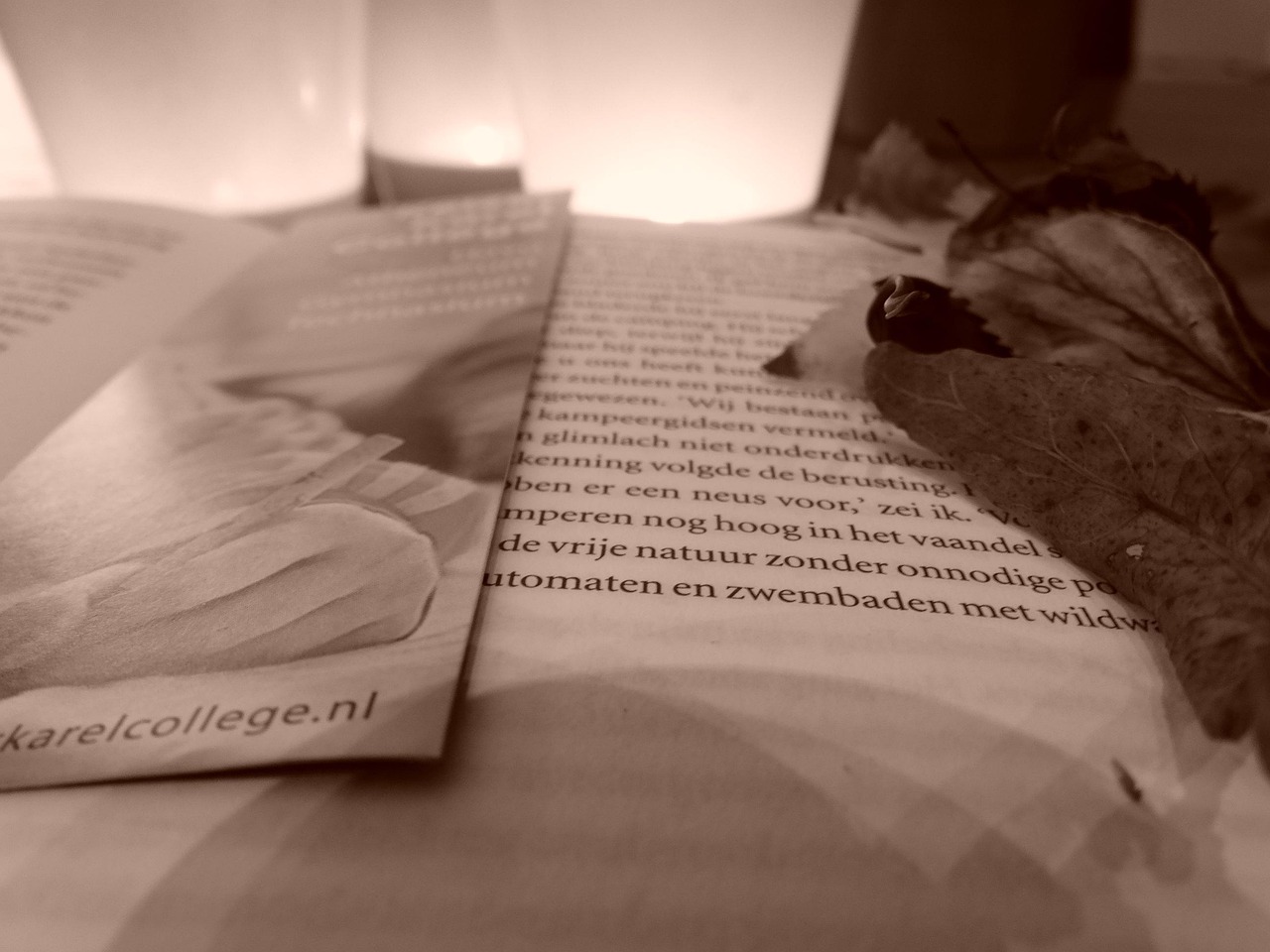 最新小說2017，探索文學(xué)的新疆界