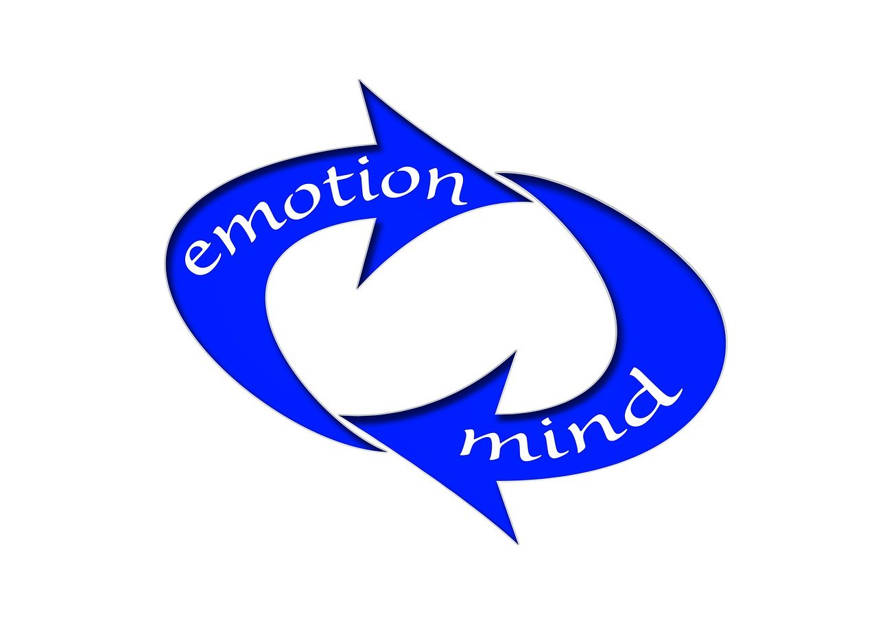 迪比科上市，探索企業(yè)成長(zhǎng)之路，迎接資本市場(chǎng)新機(jī)遇