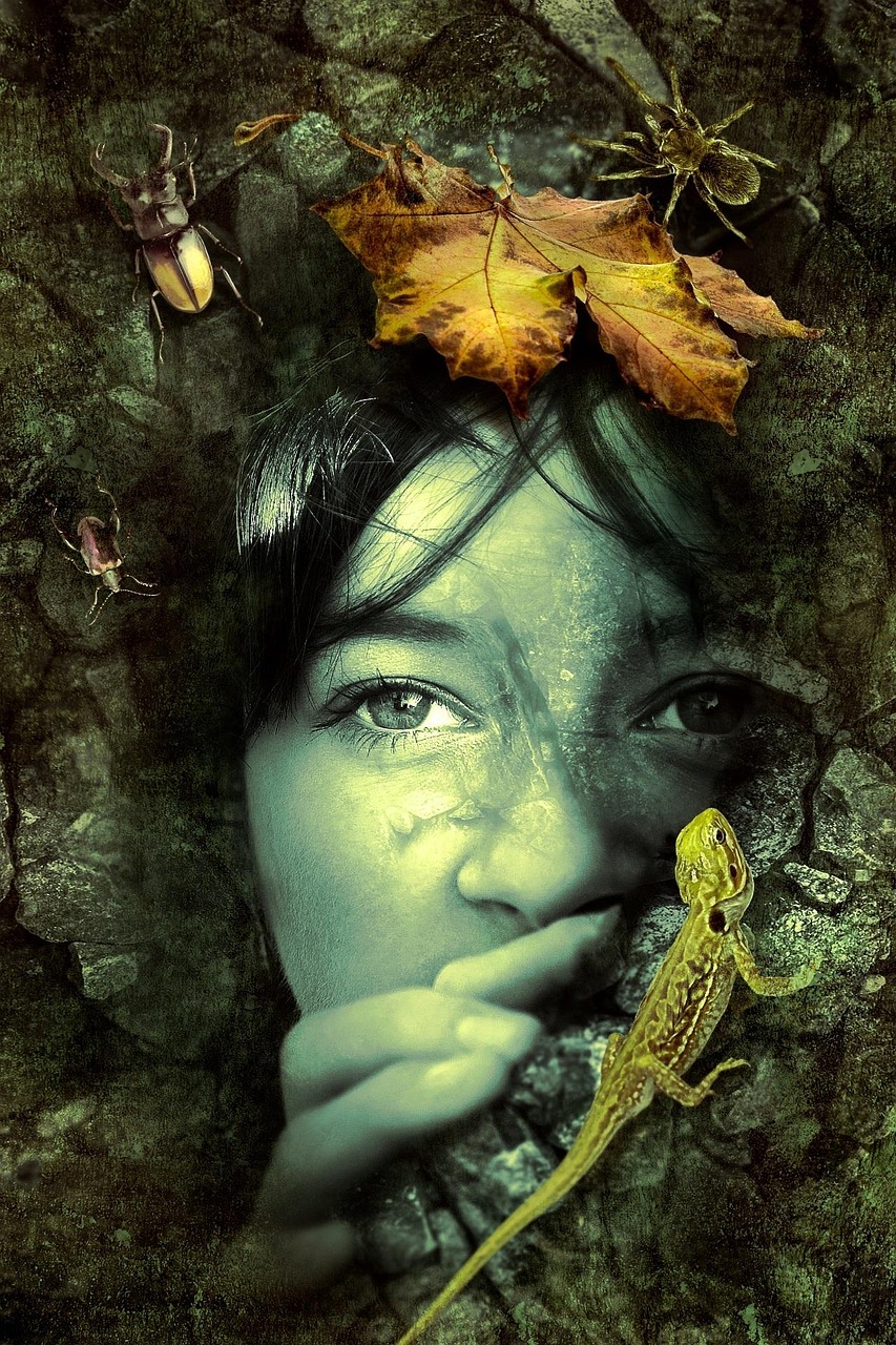 圣墟新篇章，揭開未知世界的神秘面紗