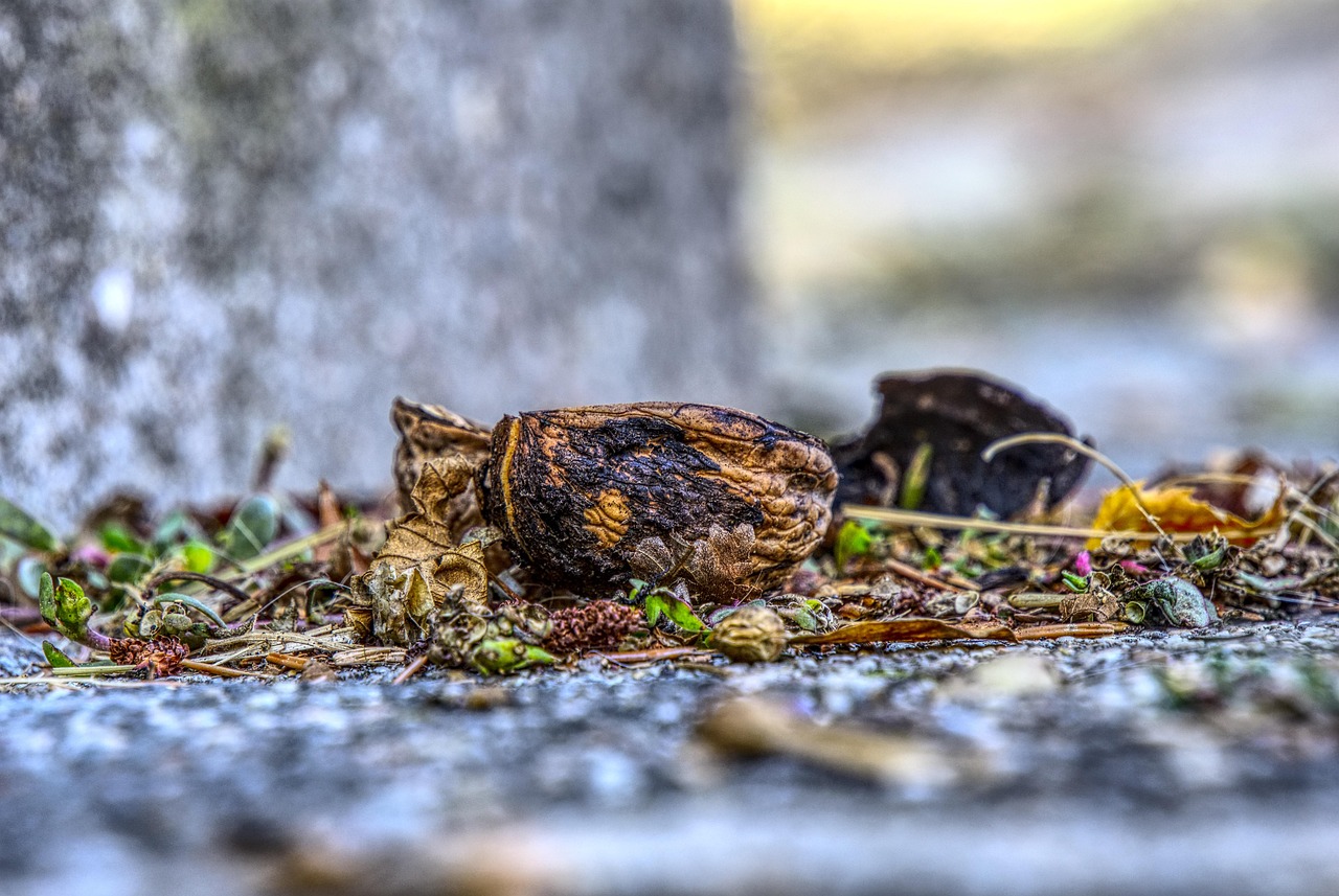 冷風(fēng) 第9頁