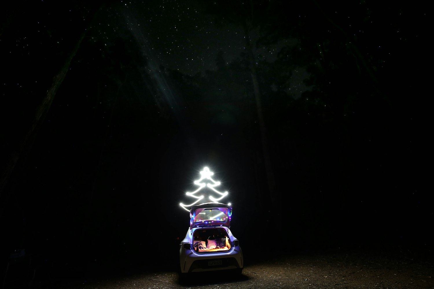 沈丹萍最新動(dòng)態(tài)，藝術(shù)之光的璀璨綻放