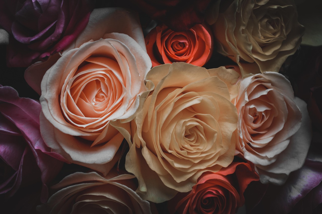 動漫雨景，情感與故事的交織圖片欣賞