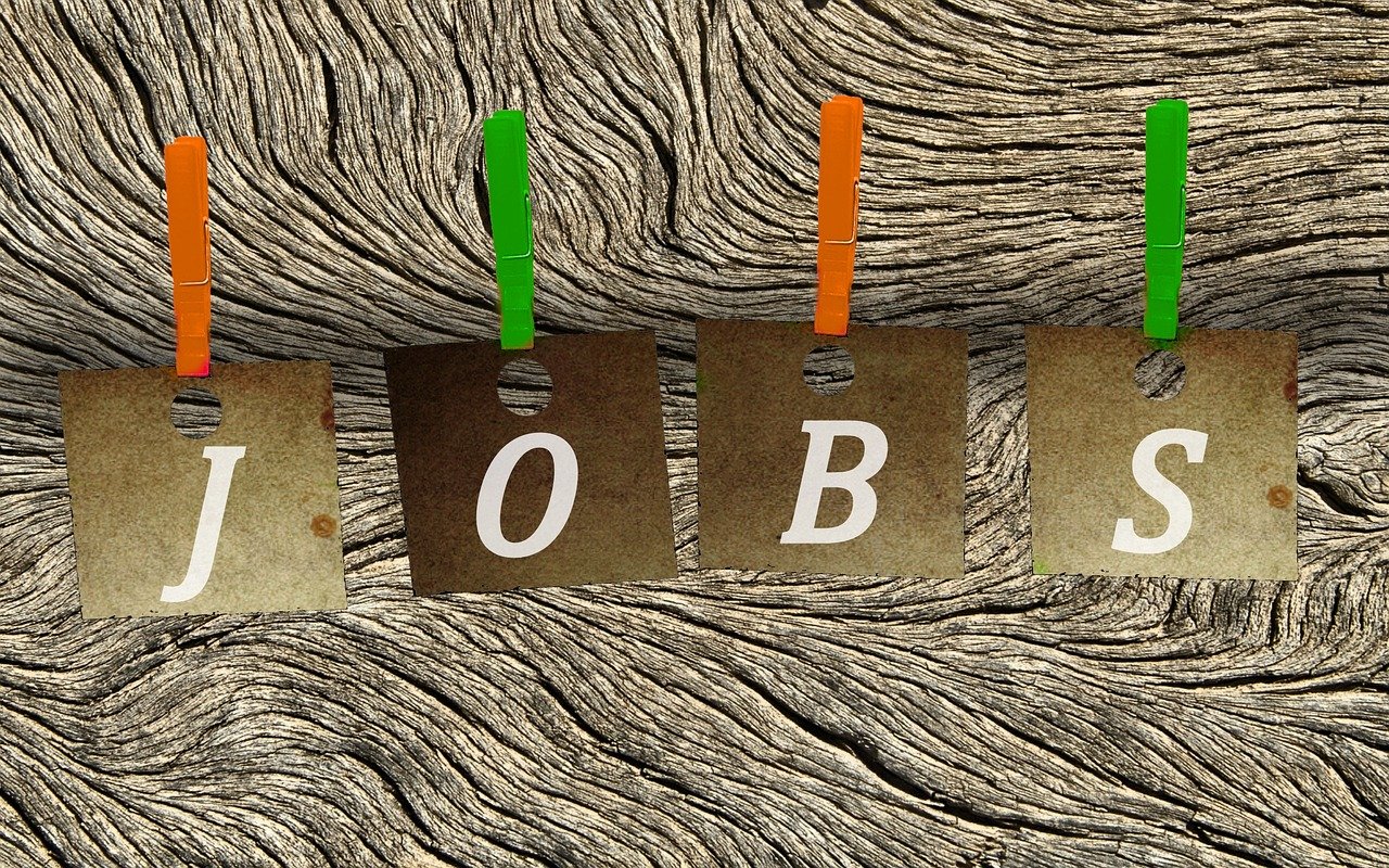 修武最新職位招聘動(dòng)態(tài)與深度解析速遞