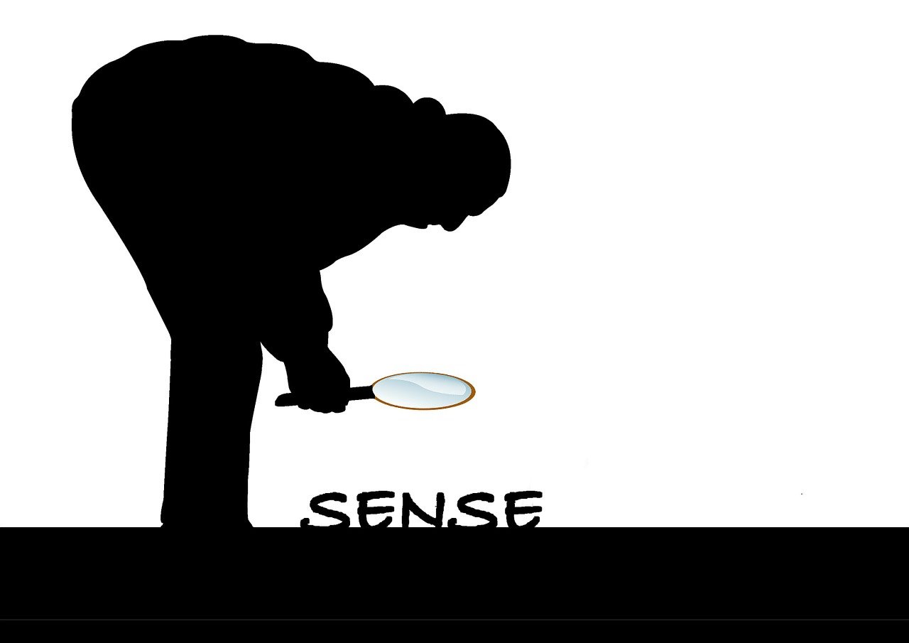 軟天空資訊速遞，探索前沿科技，洞悉行業(yè)動態(tài)。