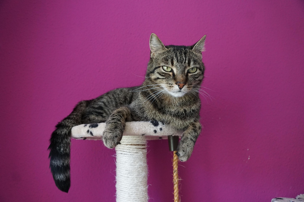 梁永和藝術(shù)品的拍賣價(jià)格與市場趨勢分析，價(jià)值體現(xiàn)與市場動(dòng)態(tài)觀察