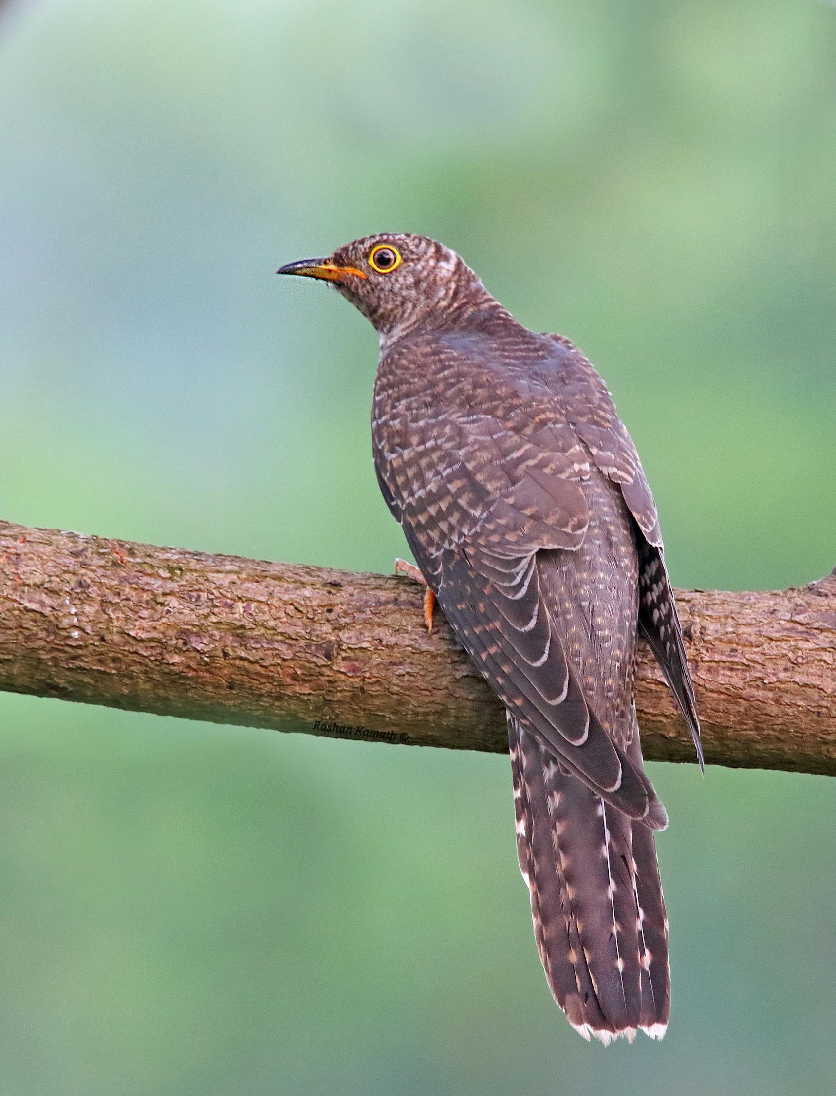 中印邊境最新動態(tài)及兩國關(guān)系的新進展與挑戰(zhàn)今日揭曉