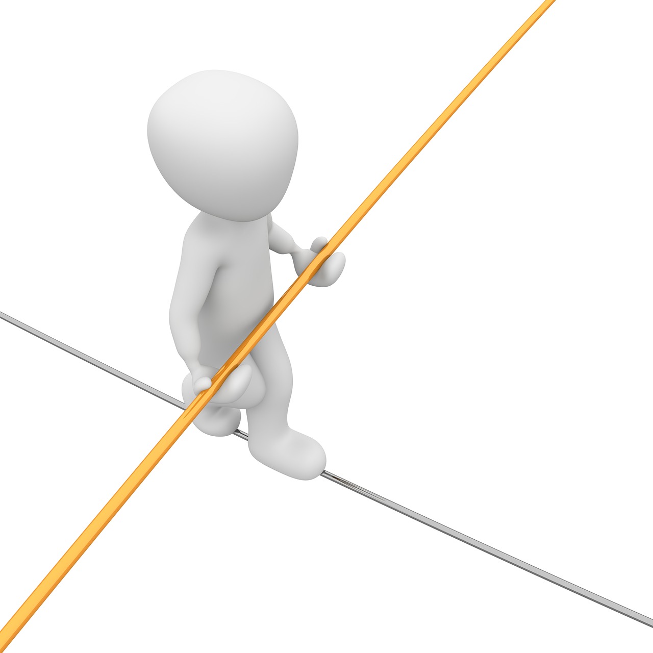 麗閑莊最新動態(tài)，展現(xiàn)全新魅力與進展