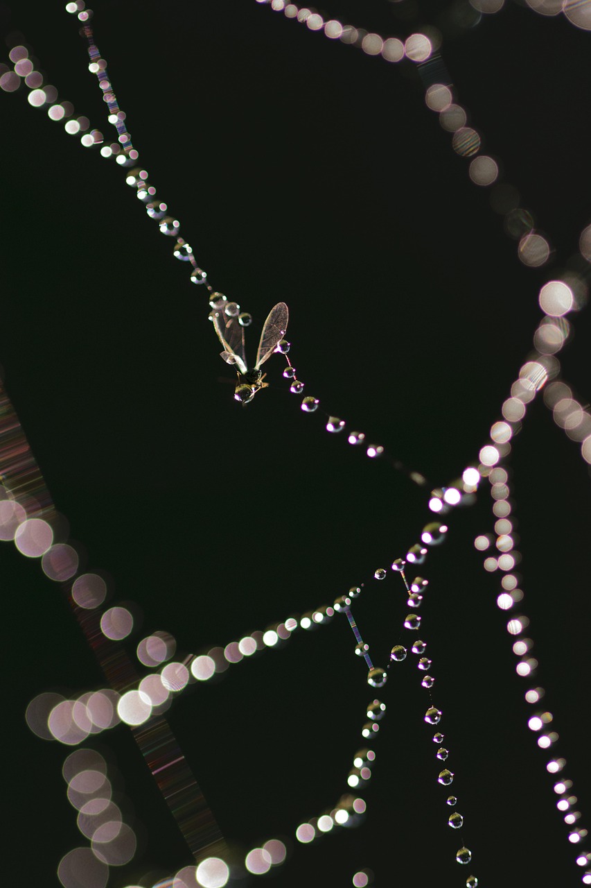 黃水晶價格解析，市場走勢、影響因素與購買建議