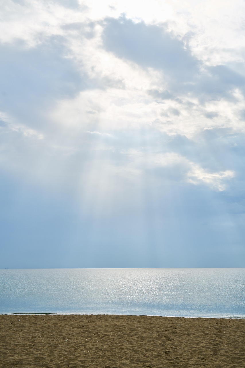 張杰2017最新動(dòng)態(tài)，音樂之旅開啟全新篇章