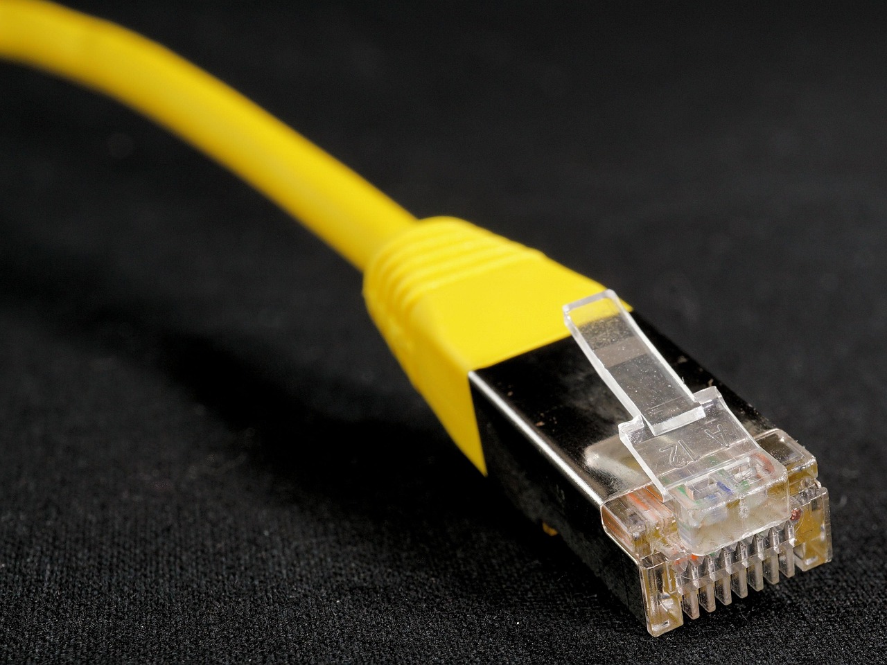 廢柴視頻網(wǎng)最新動(dòng)態(tài)與深度解析概覽