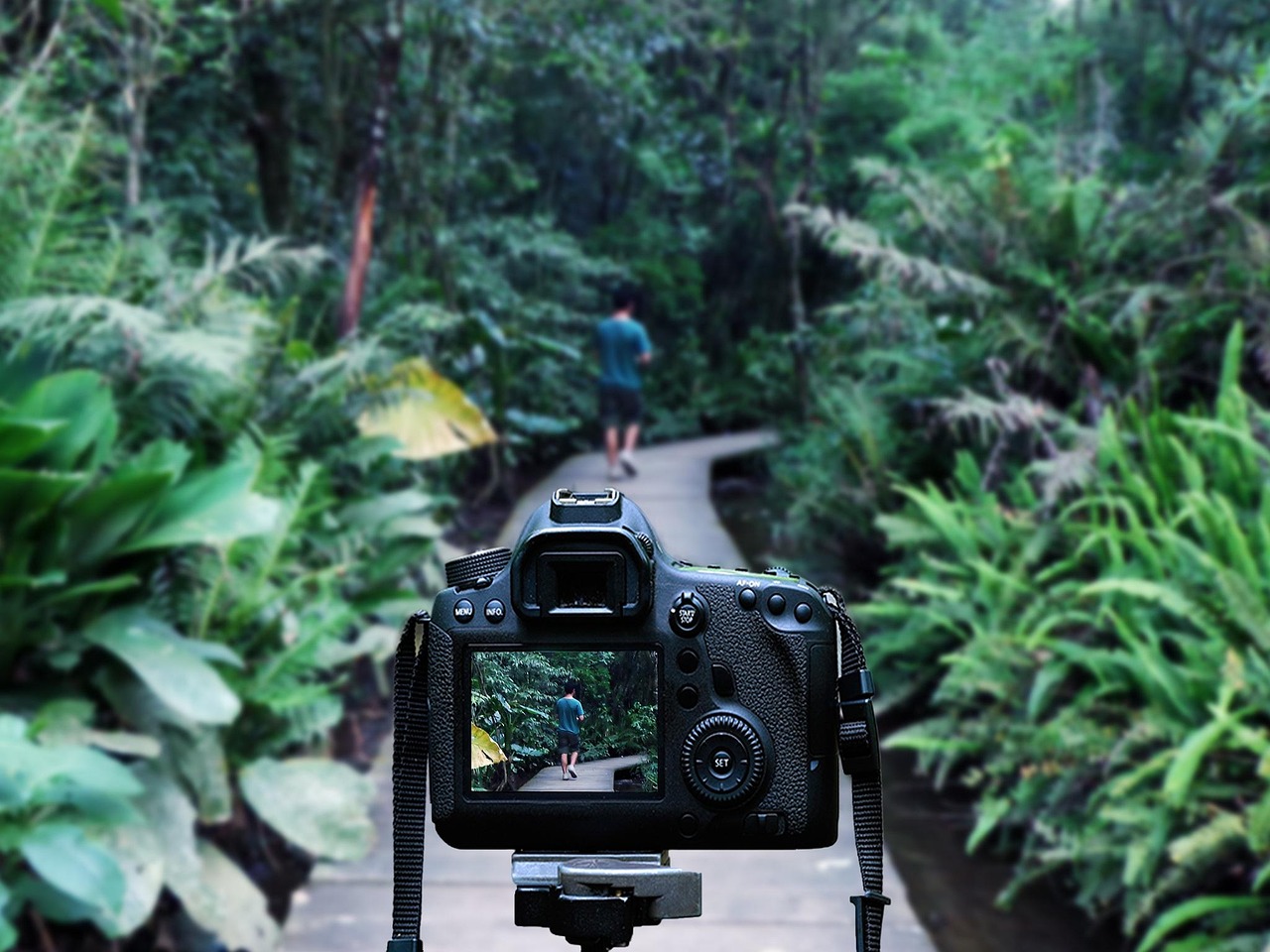 李瑞小卡，音樂(lè)與藝術(shù)融合之旅的最新動(dòng)態(tài)