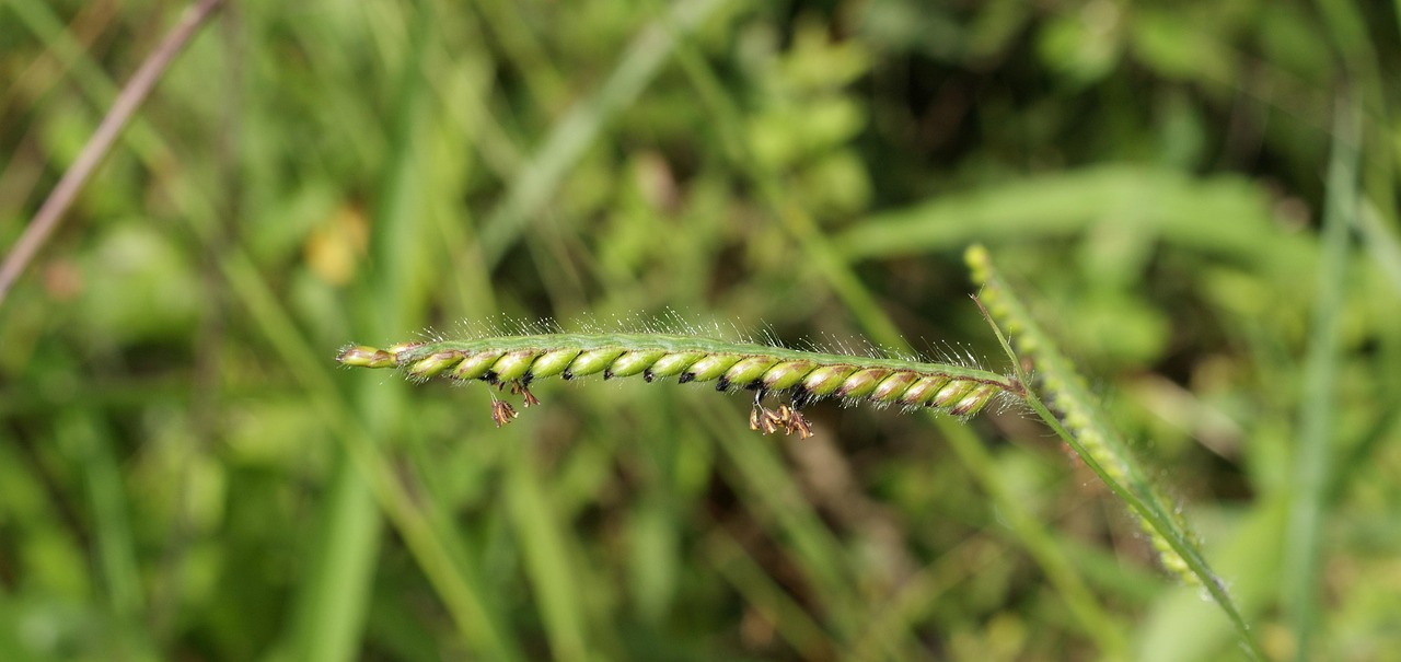 黃金價格變化，影響因素、市場動態(tài)全解析