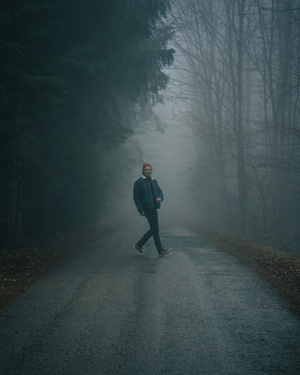 農(nóng)業(yè)最新動態(tài)，引領(lǐng)農(nóng)業(yè)現(xiàn)代化新浪潮發(fā)展