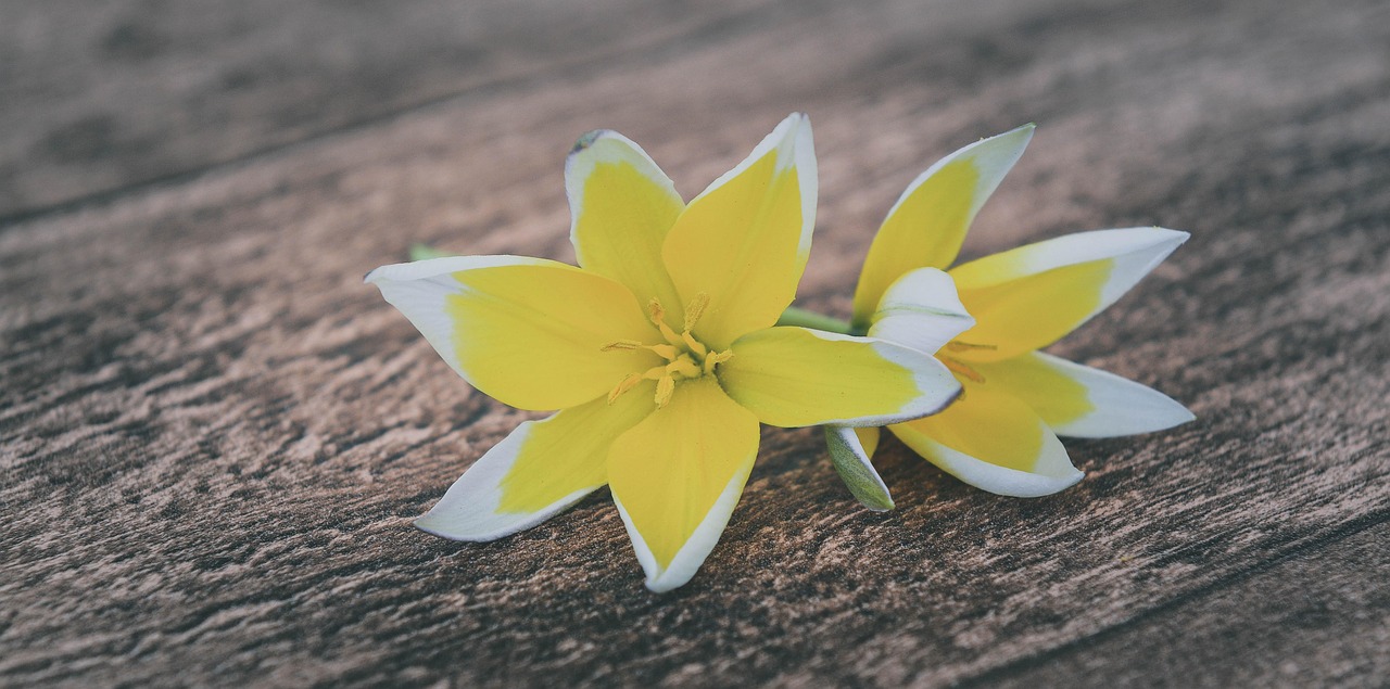 長(zhǎng)樂最新資訊概覽，最新動(dòng)態(tài)一網(wǎng)打盡