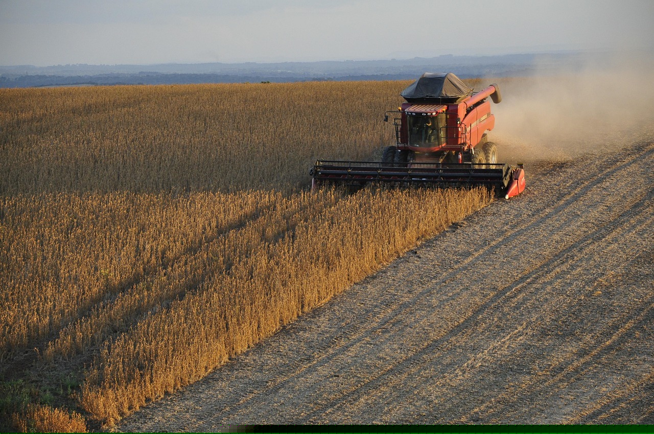 新時代步伐下的民族振興壯麗篇章——中華復興網快訊