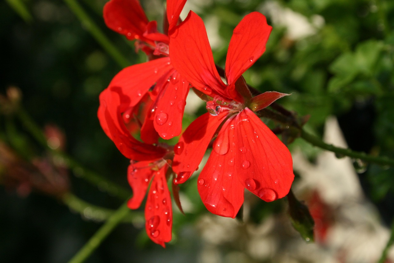 娜扎持續(xù)閃耀，最新動態(tài)引領(lǐng)時尚潮流