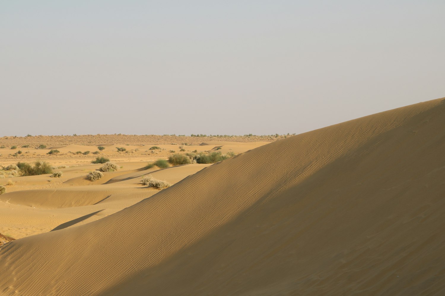 新銳影片佳作，探索電影藝術(shù)的無限魅力與創(chuàng)意邊界