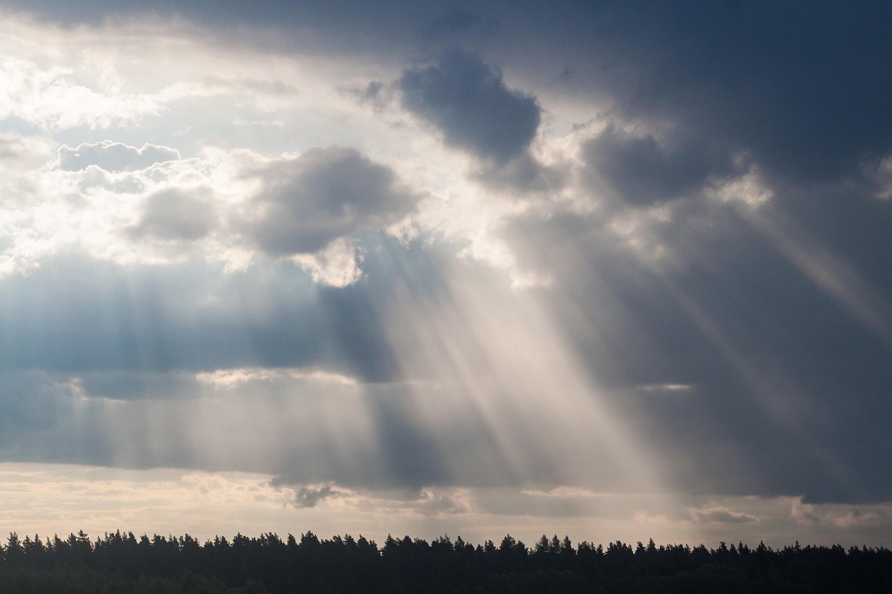 屬羊明星璀璨閃耀，星光熠熠的魅力無(wú)限